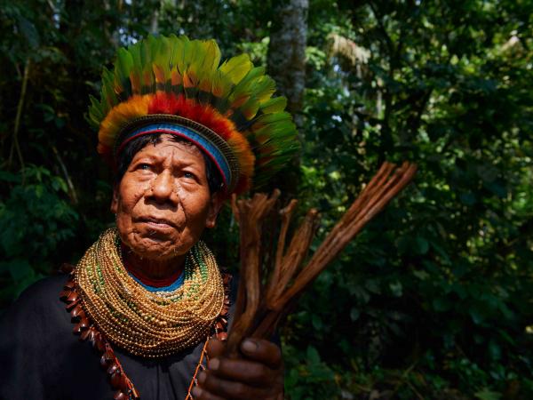 Foto: Foto: Iniciativa para la Conservación en la Amazonía Andina 